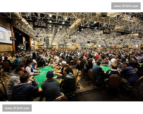 天天德州比赛精彩纷呈高手云集挑战极限赢取丰厚奖品