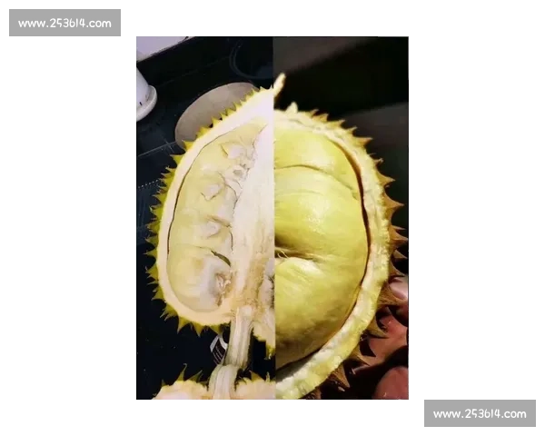 榴莲大赛来袭 谁能摘得最重最香的王者桂冠